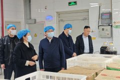 国度级滕州经济手艺开辟区